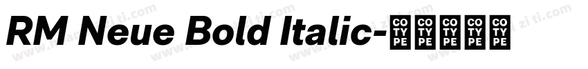 RM Neue Bold Italic字体转换
